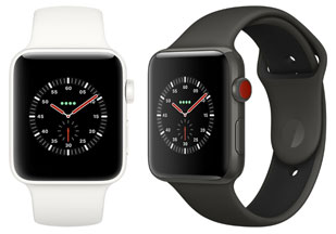 Apple Watch Series 3, Edition, 42 mm