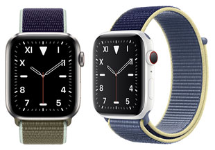 Apple Watch Series 5, Edition - North America, 40 mm