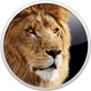 OS X Lion FAQ