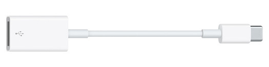 iPad USB to USB-C Adapter